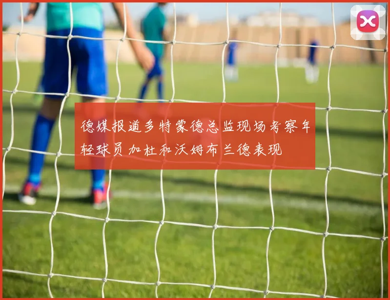 德媒报道多特蒙德总监现场考察年轻球员加杜和沃姆布兰德表现