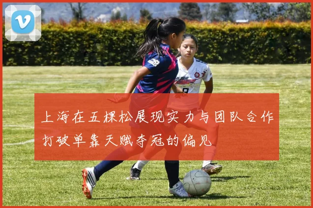 上海在五棵松展现实力与团队合作打破单靠天赋夺冠的偏见